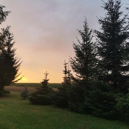 Hygge House Villa Zator Eksteriør billede