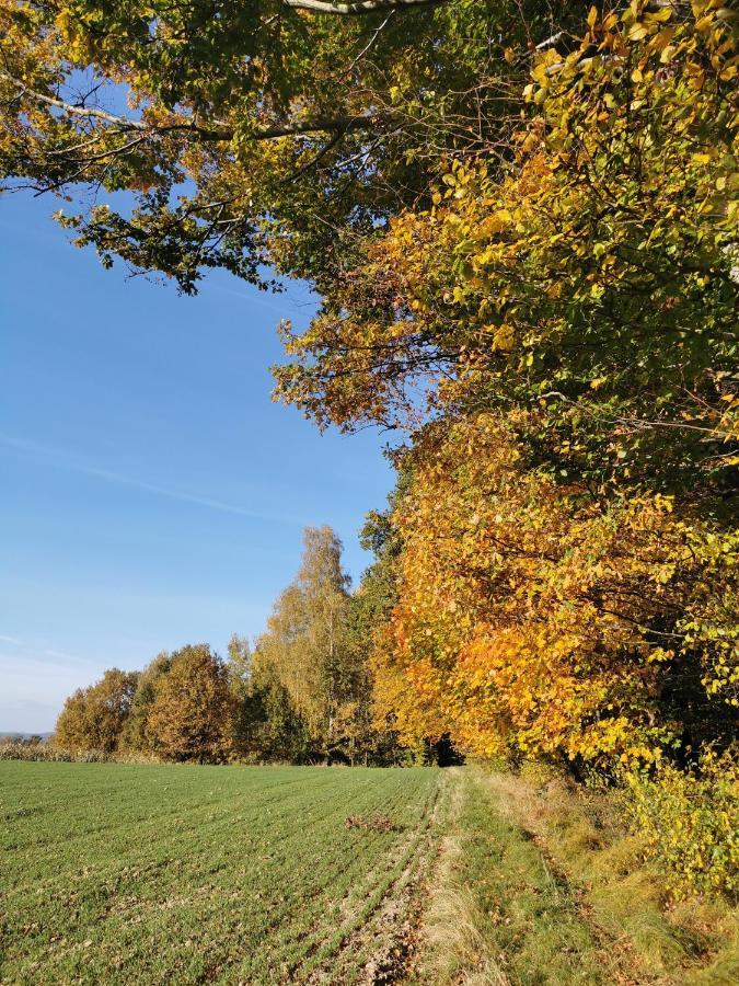 Hygge House Villa Zator Eksteriør billede